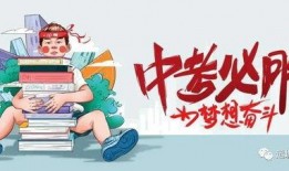 徐州二姐爆料最新消息今天,今日热点事件深度解析