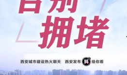 西安晚安爆料新闻最新,揭秘某神秘项目背后真相，引发公众关注