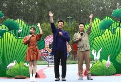 南阳学校爆料事件视频最新,真相揭开，家长学生共同关注